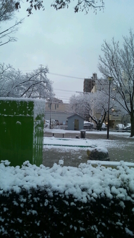 a0055650_70327.jpg