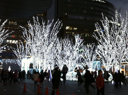 b0158551_046443.jpg