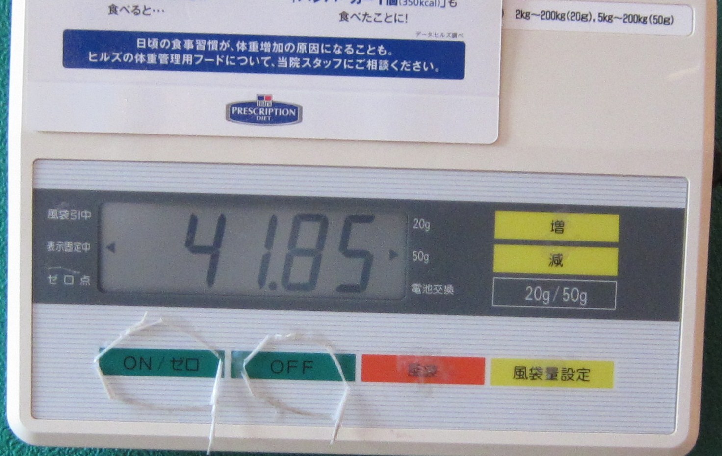 b0129954_2012793.jpg