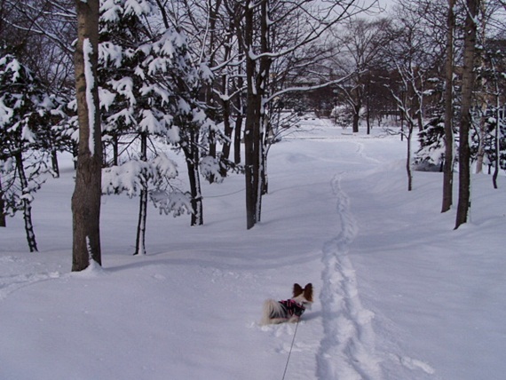 c0074156_815885.jpg