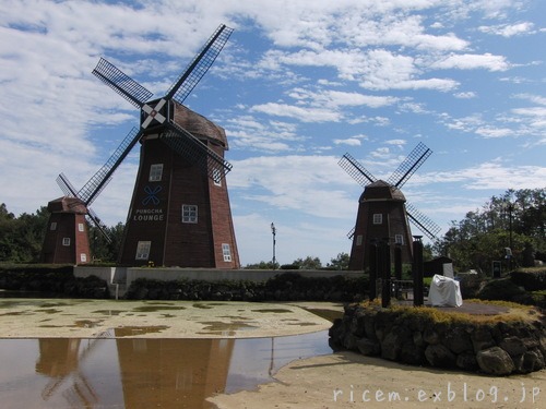 c0127366_758433.jpg