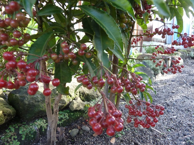 e0278968_2303793.jpg