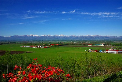 b0171771_4224819.jpg