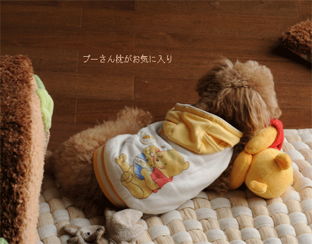 c0196673_1654688.gif