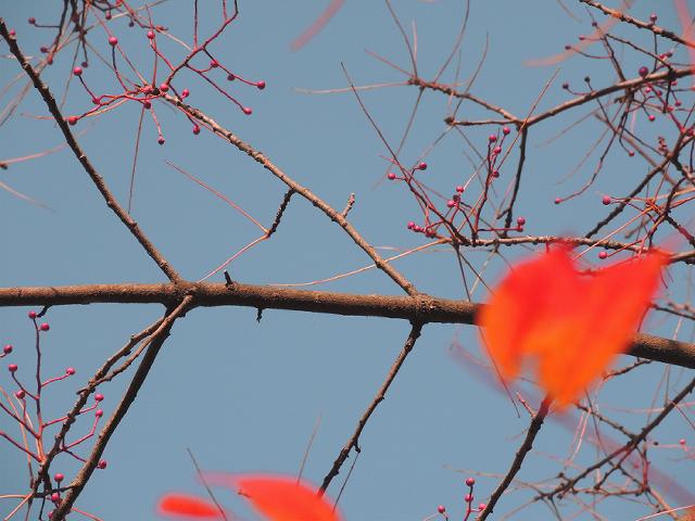 a0044076_14192731.jpg