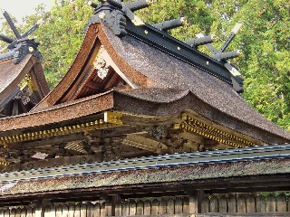 e0062977_1415031.jpg