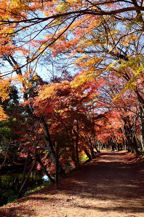 f0108478_9142334.jpg