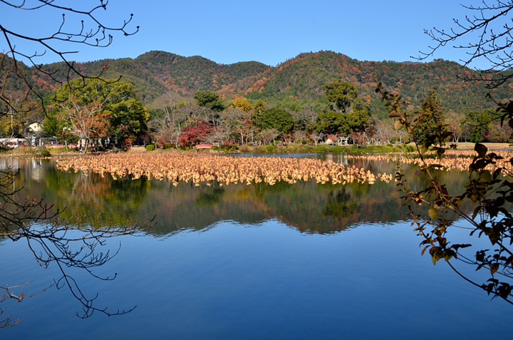f0108478_919412.jpg