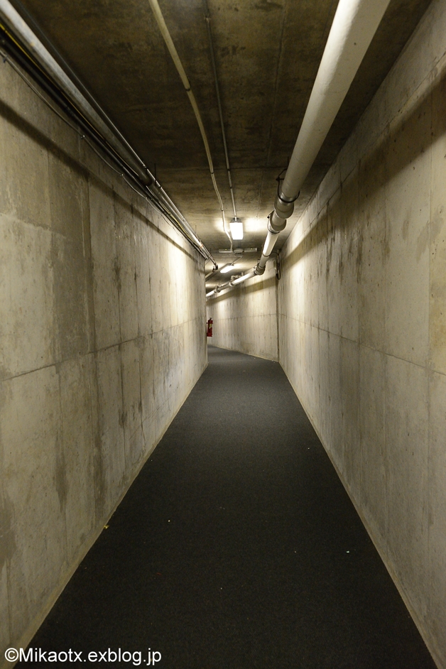 f0232083_131434100.jpg