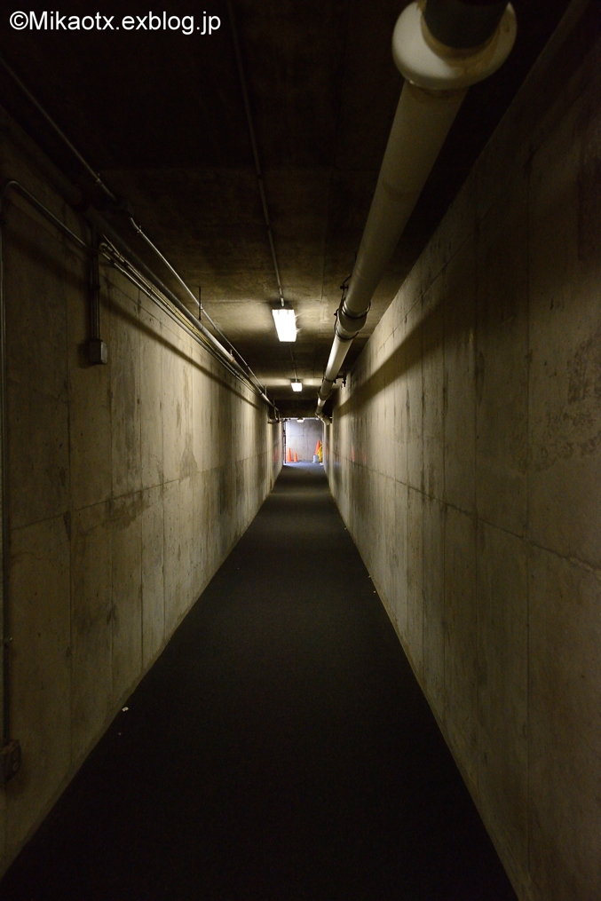 f0232083_13145423.jpg