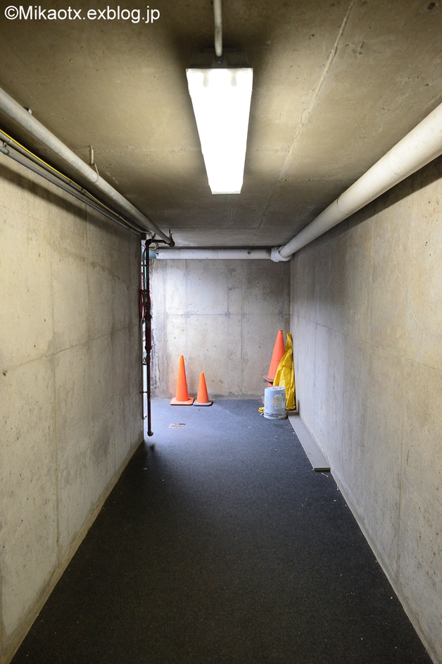 f0232083_1315611.jpg
