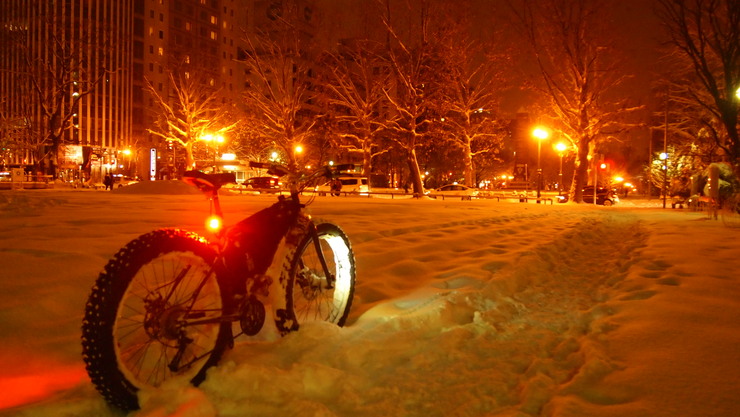 a0242984_013355.jpg