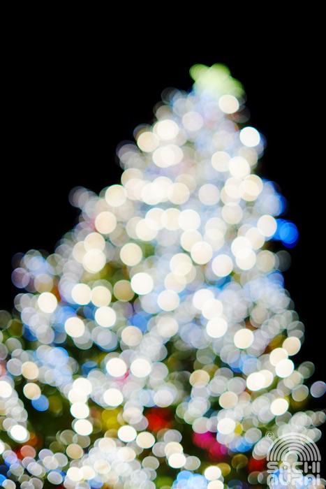c0073387_7584371.jpg