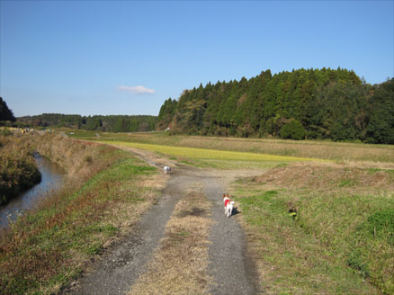 b0125788_0314188.jpg