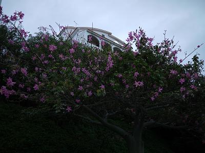 f0226293_23282272.jpg