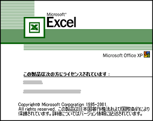 マイクロソフト・エクセル (Office XP)