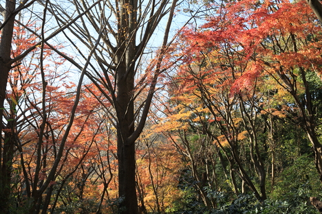 b0275998_055019.jpg