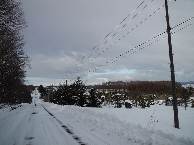 f0202703_22113868.jpg