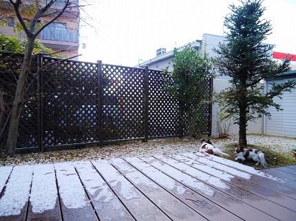 b0243804_11455629.jpg