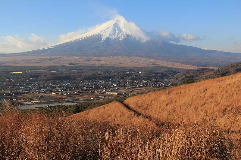 a0188405_1082346.jpg