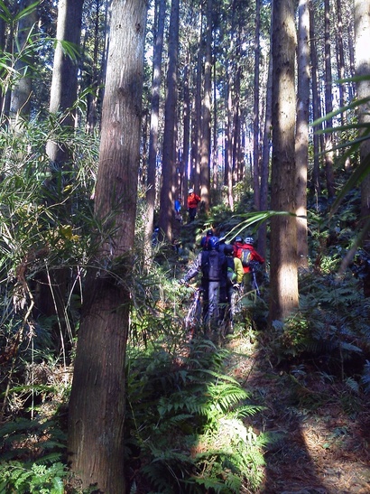e0015108_8415278.jpg