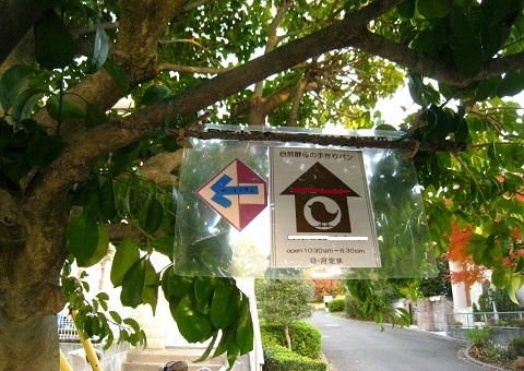 c0084117_20334177.jpg