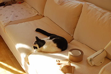 b0259218_0262495.jpg