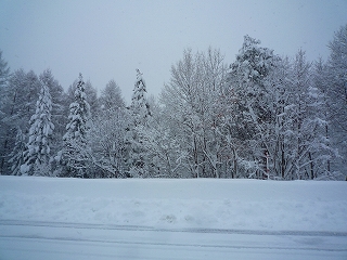 c0189218_1893868.jpg