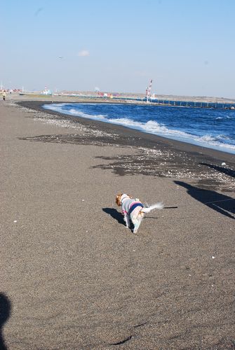 f0214121_21513176.jpg
