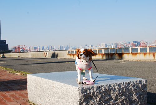 f0214121_21571896.jpg