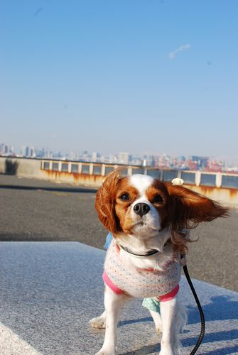 f0214121_21574936.jpg