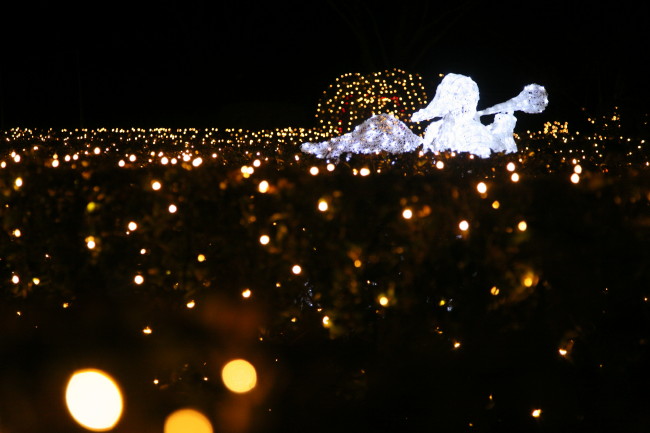 f0017530_21491797.jpg
