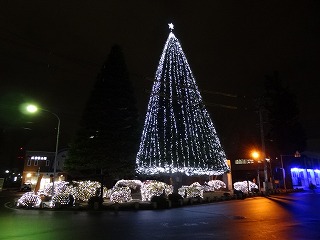 e0132433_20394377.jpg