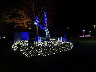 e0132433_20402124.jpg
