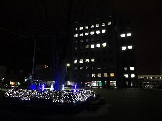 e0132433_2040773.jpg