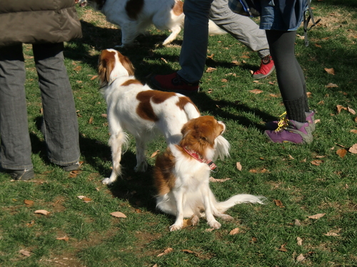 f0212733_8555510.jpg