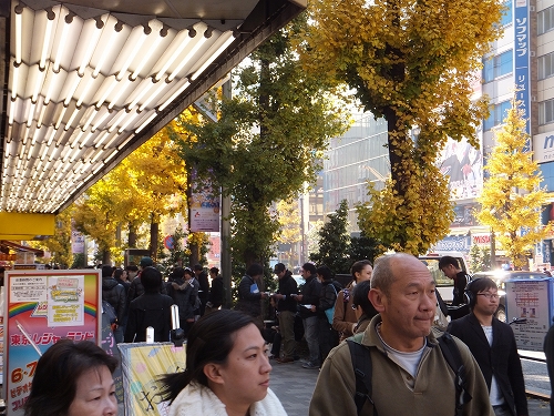 b0242134_13313295.jpg