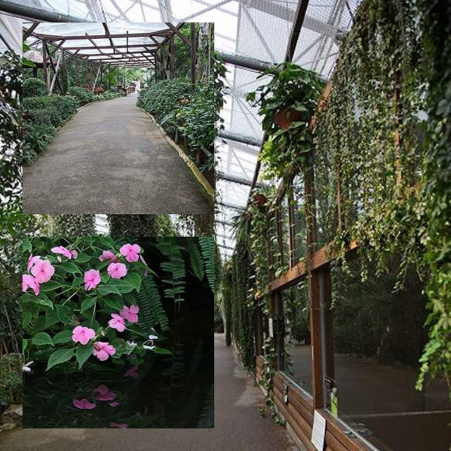 a0242438_221087.jpg