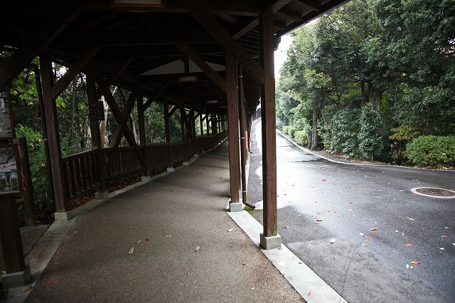 a0242438_2284480.jpg