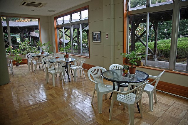 a0242438_228498.jpg