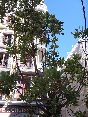 e0238838_6495378.jpg