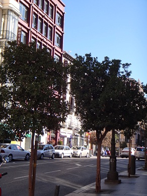 e0238838_6501495.jpg