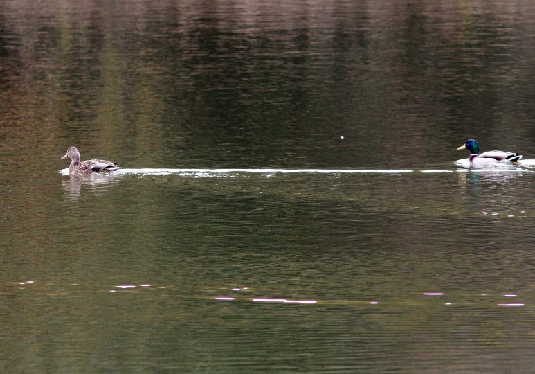 c0172139_044565.jpg