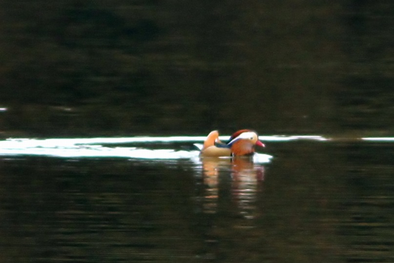 c0172139_23262225.jpg