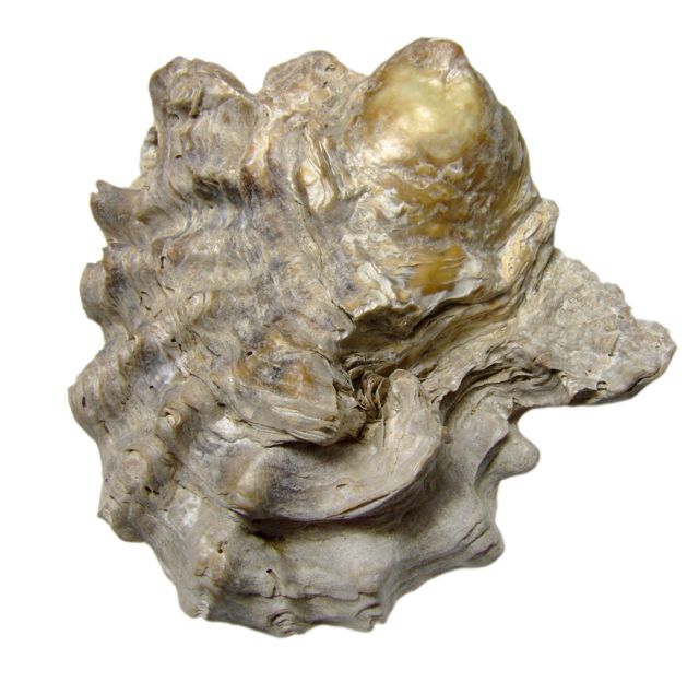 e0290546_18511750.jpg
