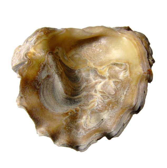 e0290546_18512211.jpg