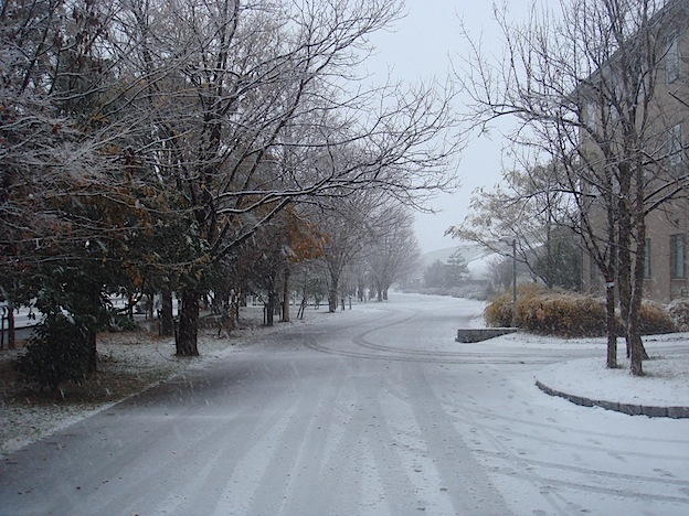 f0178153_0411851.jpg