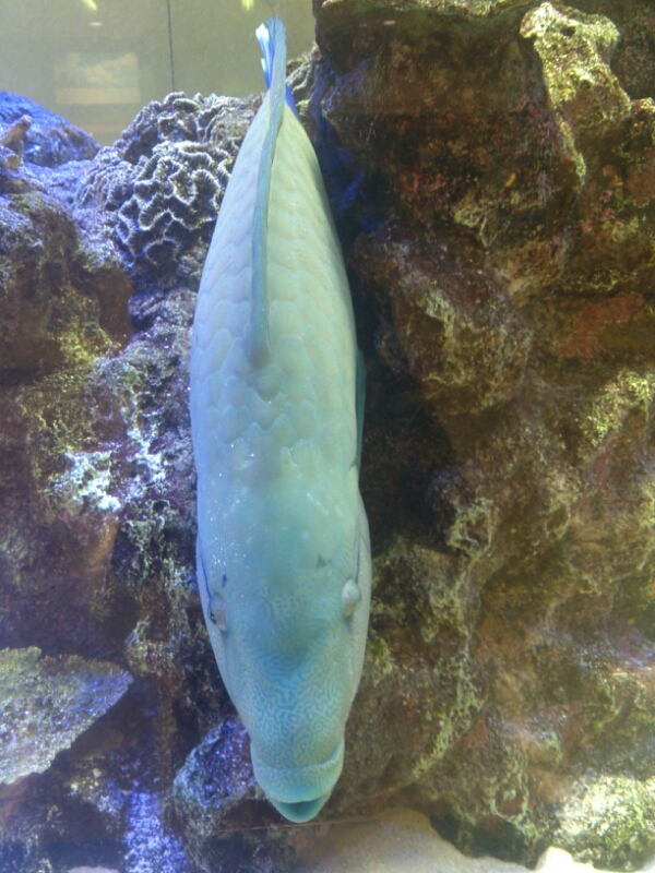a0031454_0205576.jpg