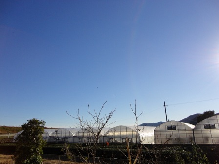 f0046854_2201730.jpg