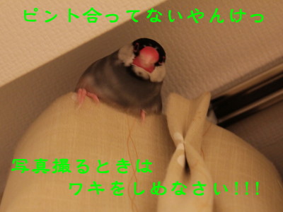 b0158061_21324555.jpg
